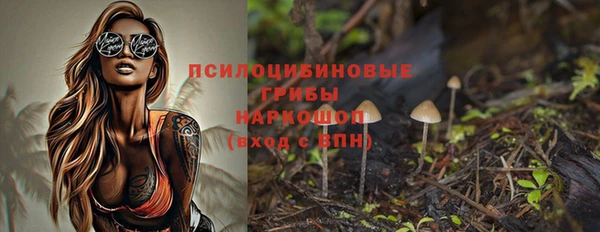 амф Белокуриха