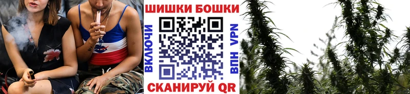 где купить   Юрга  Бошки Шишки план 